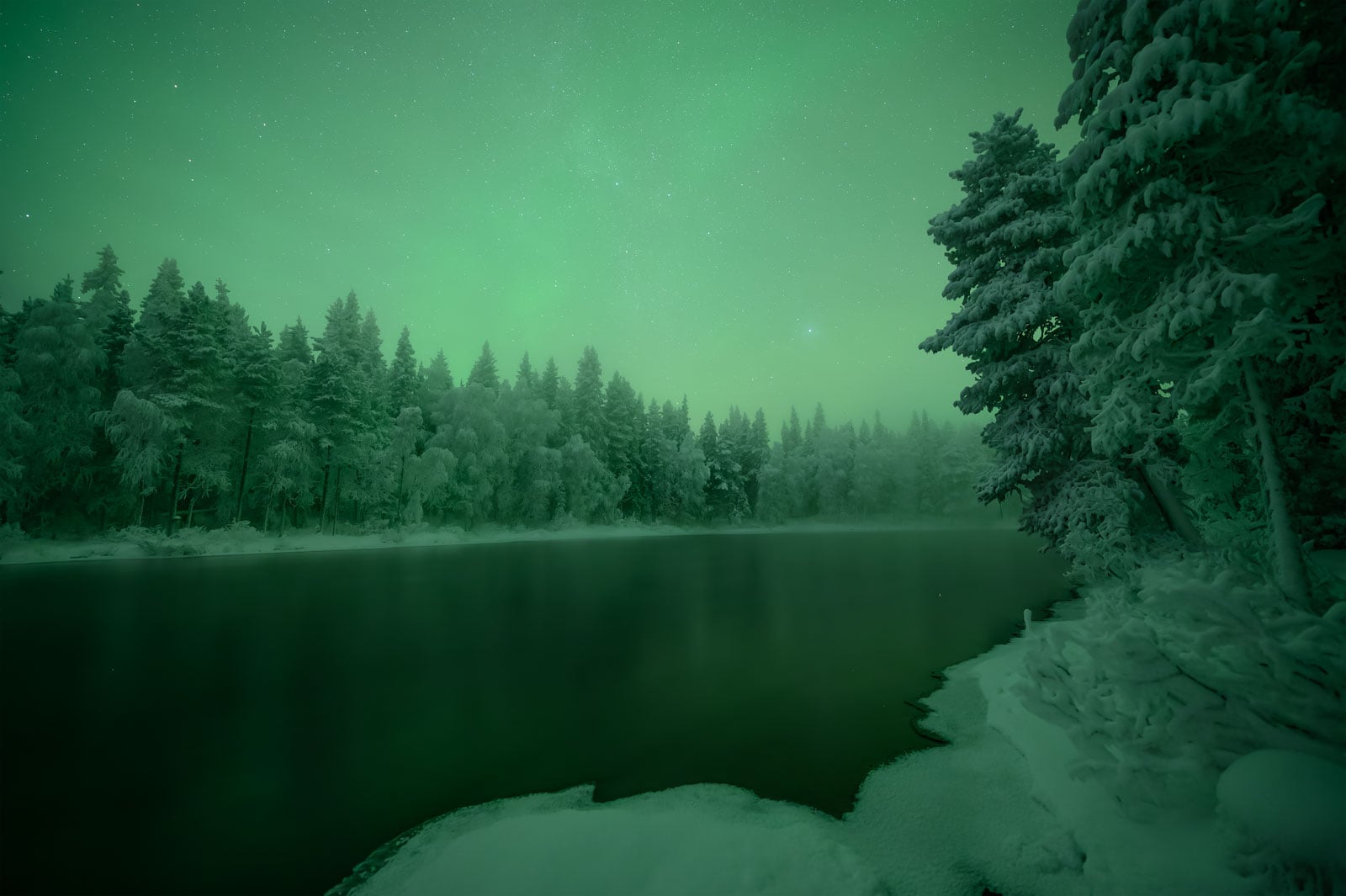 Topaz Photo AI RAW File Rendering