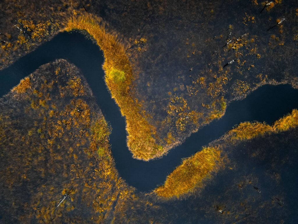 JPG edited in Lightroom